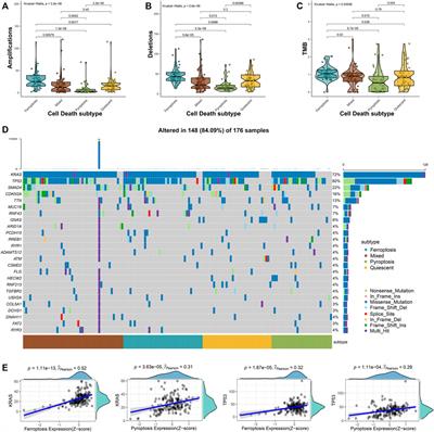 Integratively Genomic Analysis Reveals the Prognostic and Immunological Characteristics of Pyroptosis and Ferroptosis in Pancreatic Cancer for Precision Immunotherapy